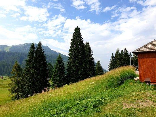 Sentiero della Pace