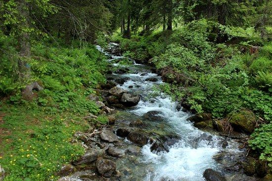 Sentiero 262 Staboletto Passo del Frate
